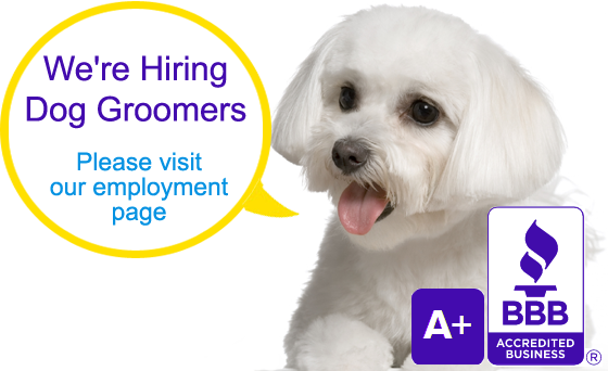 Dog Grooming positions are available at Grateful Pets, Charlotte NC. We're hiring pet groomers..